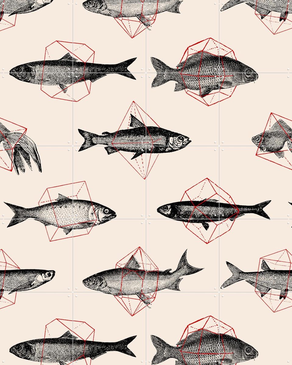 IXXI Fishes in Geometrics, Florent Bodart - 80 x 100 cm - Gratis ophangtool - Grote wanddecoratie en posters - Line art, Illustraties, Grafisch