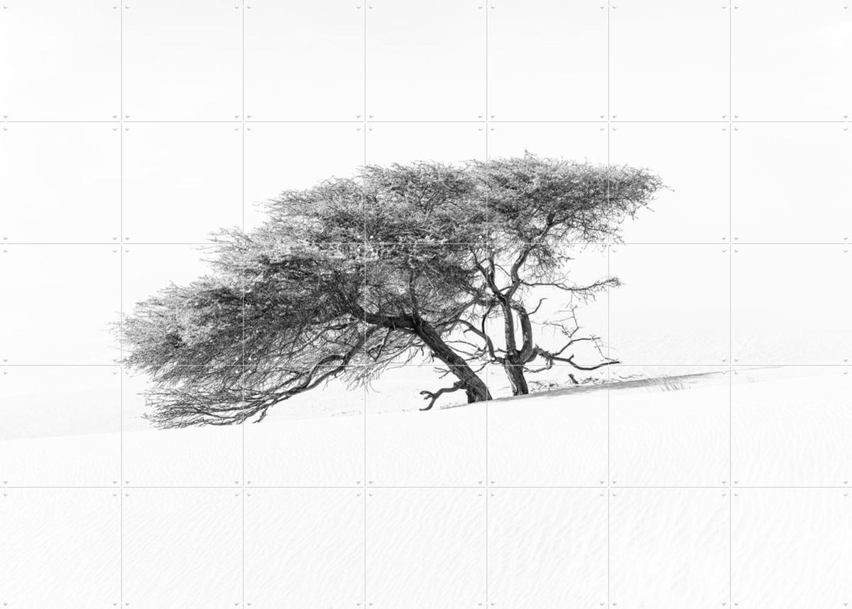 IXXI Tree in Sahara Desert, Photolovers - 140 x 100 cm - Gratis ophangtool - Grote wanddecoratie en posters - Fotografie, Minimalisme, Woonkamer