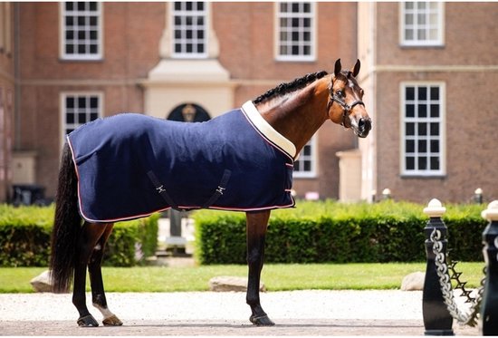 Bruin paard met donkerblauwe fleecedeken met witte en rode bies. Statig gebouw op achtergrond.