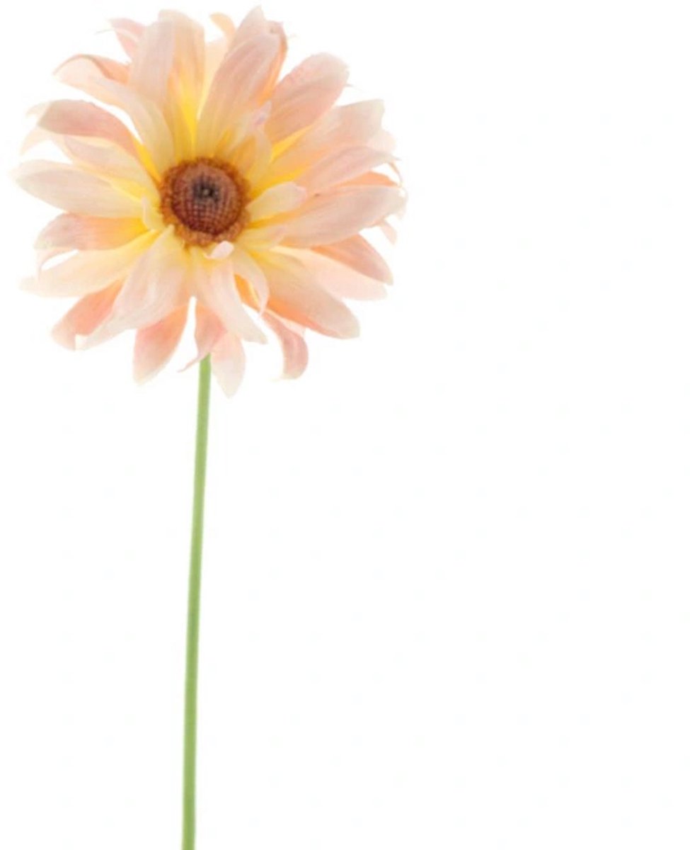 Erutan avon Gerbera spray Lotte peach 76 cm onbekend