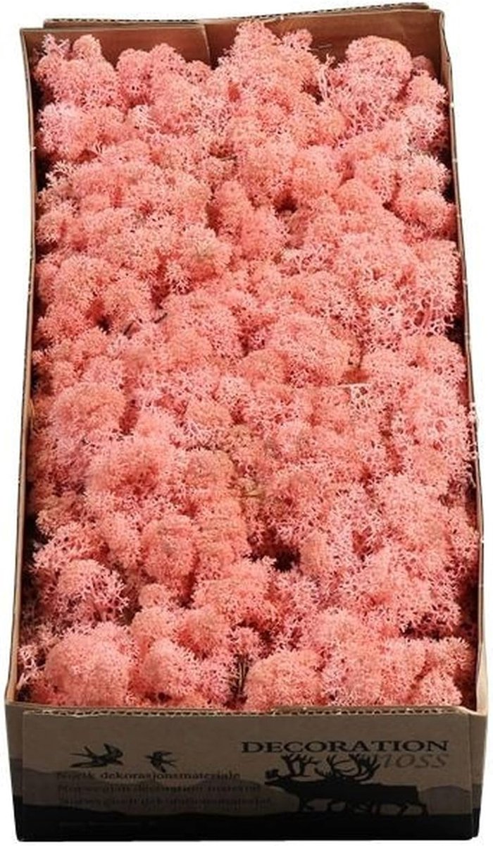 IJslands mos - Decoratie mos - Hobby knutselen - Natuurlijke uitstraling - 500 gram - Oudroze