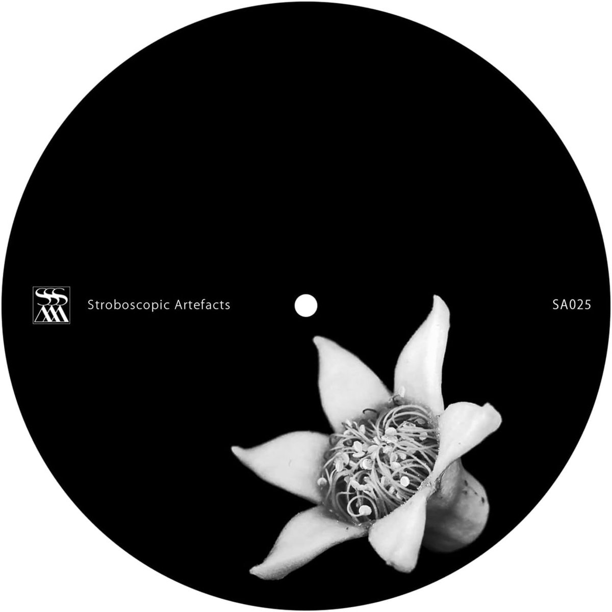 Muziek Album - Luisterervaring - Ontspanning - Unieke Mix - 31cm Diameter