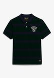 Donkergroene polo met marineblauwe strepen en een geborduurd logo op de borst.
