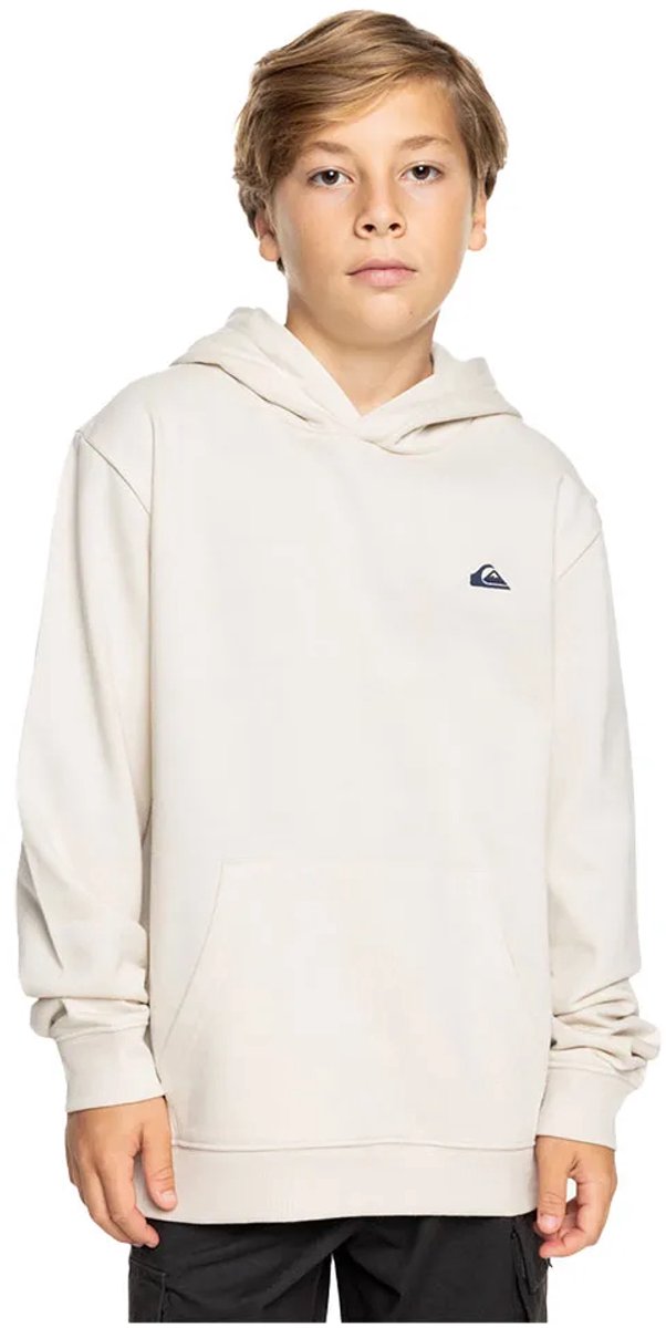 Quiksilver Basic Hoodie 14 Years Jongens Birch