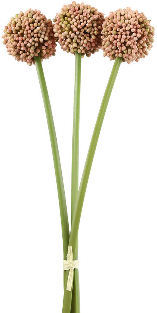 Countryfield kunstbloem decoratie Allium sativum roze 55cm kunstplant.