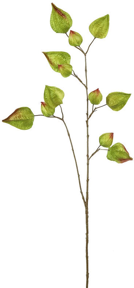 Countryfield Kunsttak Physalis l.groen