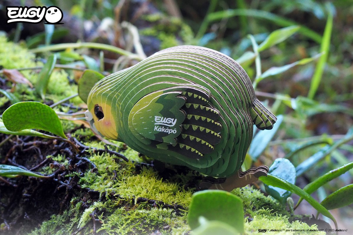 EUGY 3D Puzzel - Kakapo - Vogels - Duurzaam - Verzamel Ze Allemaal - 6 Jaar — afbeelding 4
