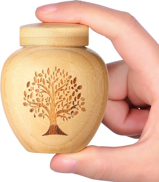 Hand die een kleine beige bamboe urn vasthoudt, met een gegraveerde levensboom.