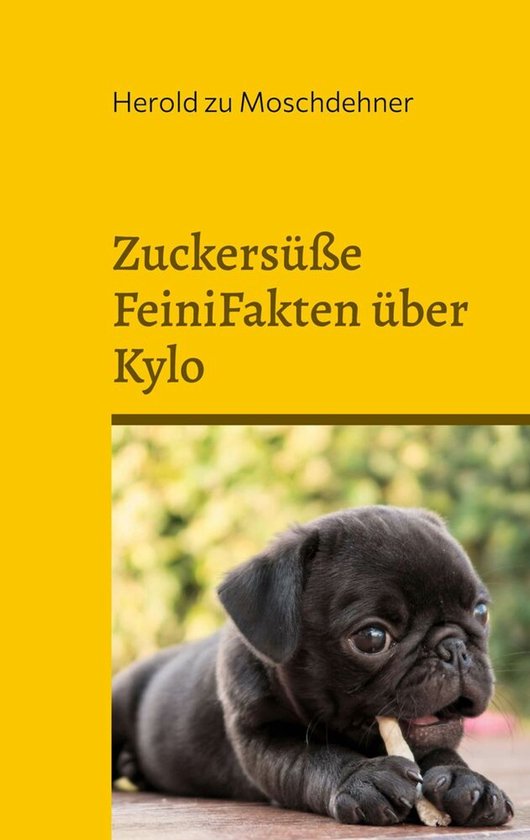 Zuckersüße FeiniFakten über Kylo - cover