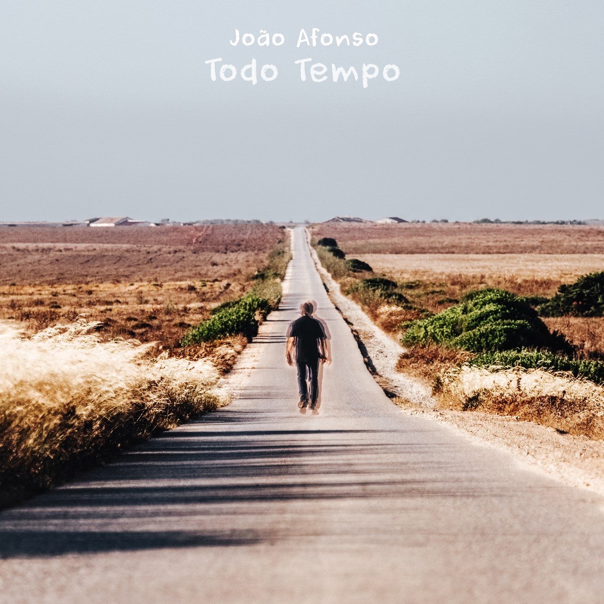 João Afonso - Todo Tempo (LP)