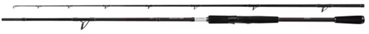 Shimano Yasei BB AX Pike H Spin – Spinhengel – 2.20m 20-60g 2-delig