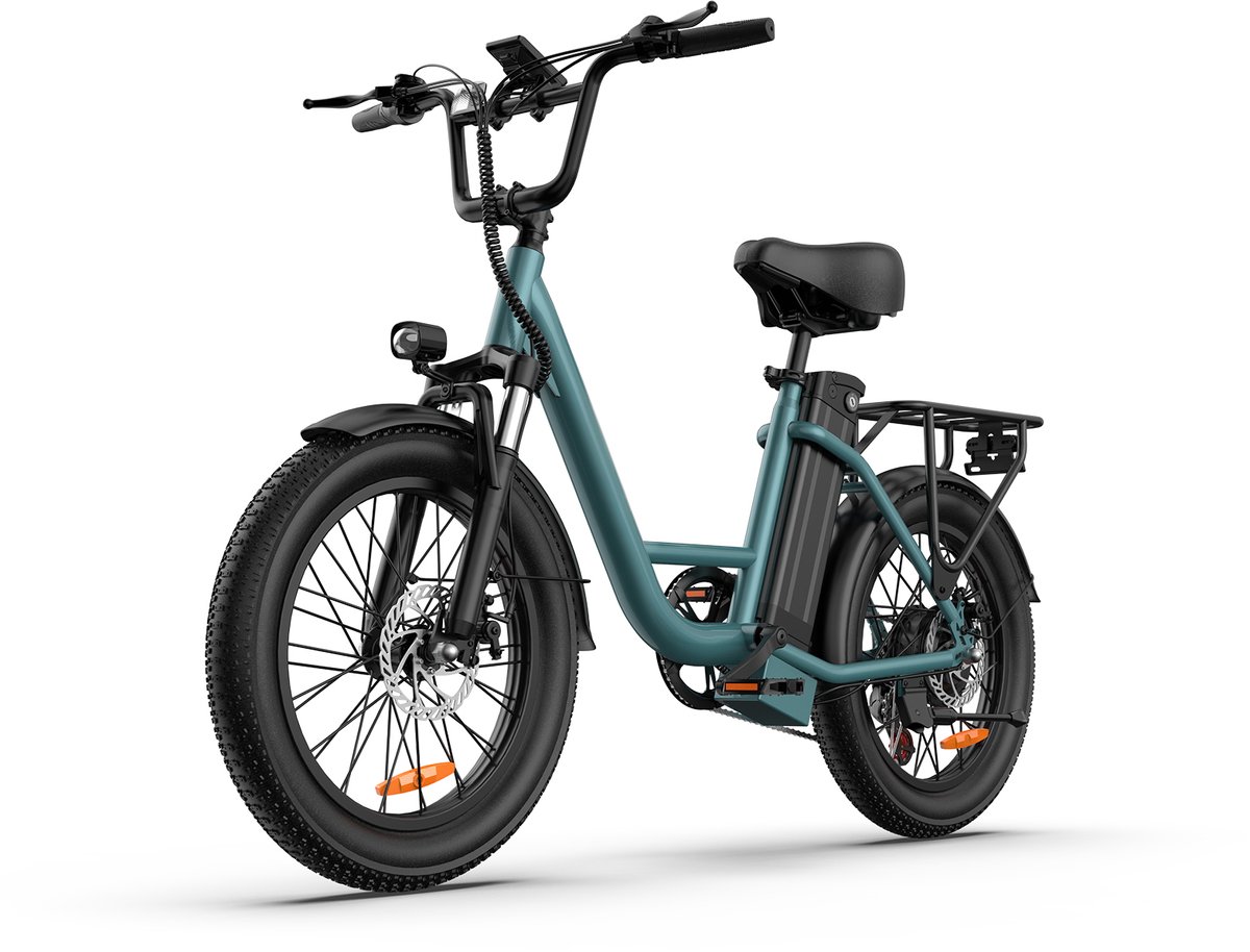 20 inch Elektrische fiets(155-195 cm) - 48V 13Ah Verwisselbare Accu tot 100KM -250 W motor - 20inch - LCD Scherm - 25 km/u - 7 Versnellingen - Elektrische Fietsen voor Heren en Dames - Groente