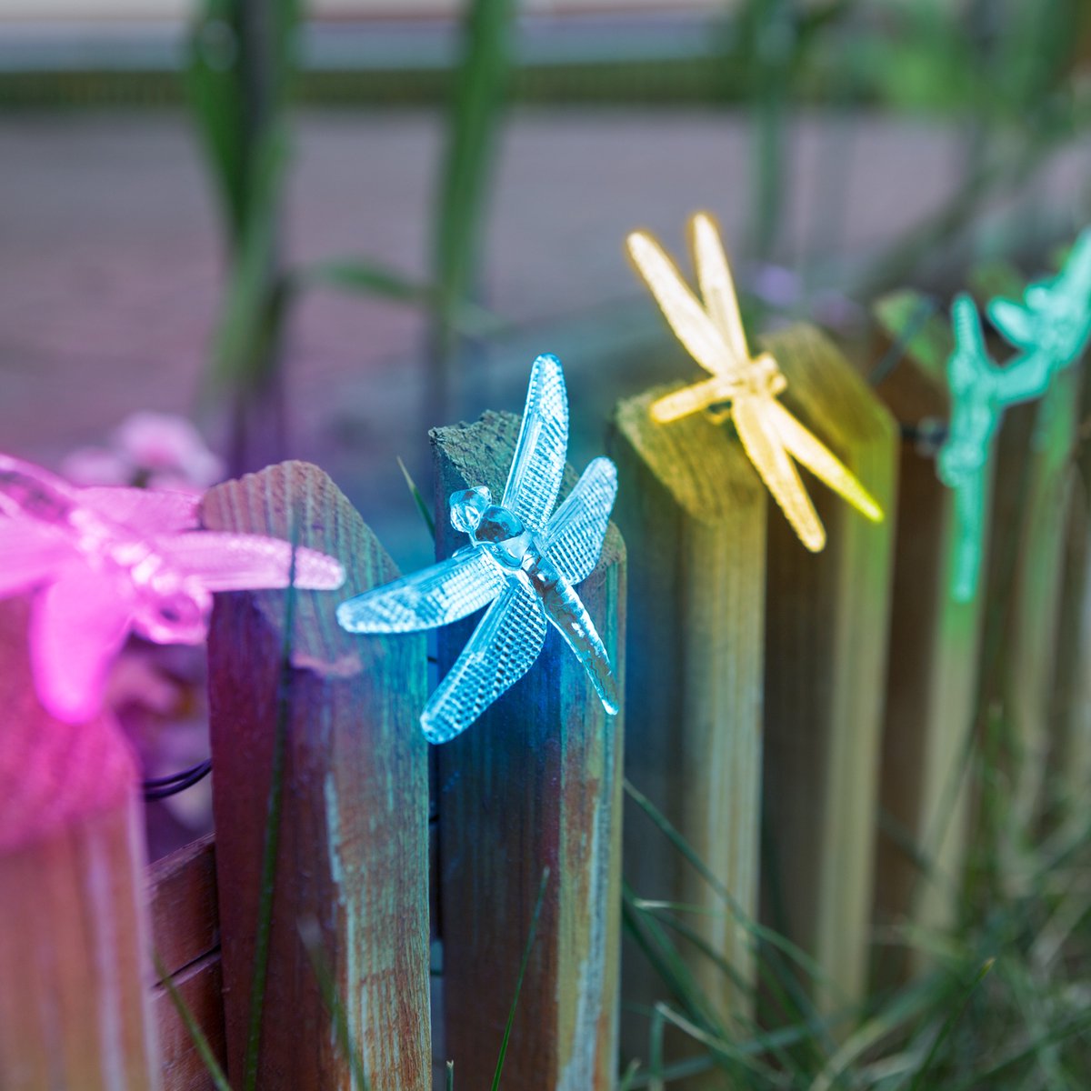 Solar LED Lichtsnoer Libelle – 10 Gekleurde LED’s – 2 M – Op Zonne-Energie – Automatisch Aan Bij Schemer – Decoratieve Buitenverlichting Voor Tuin, Balkon En Terras [11758B]