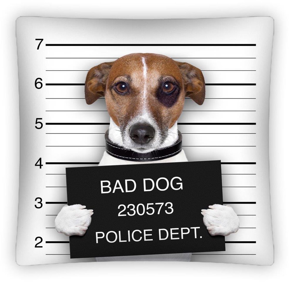 Detexpol - Kinder Sierkussenhoes - 40x40cm - 3D Hond in Arrest - Polyester