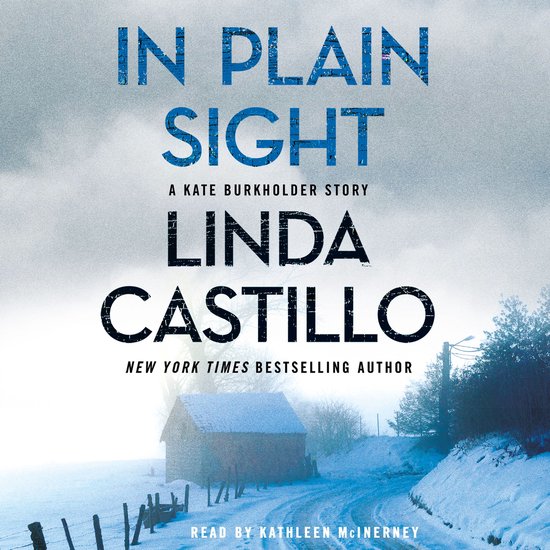 In Plain Sight - cover