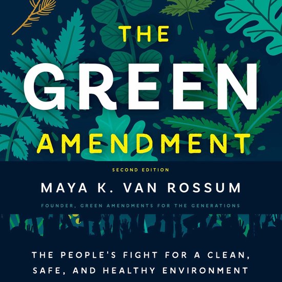 The Green Amendment - cover