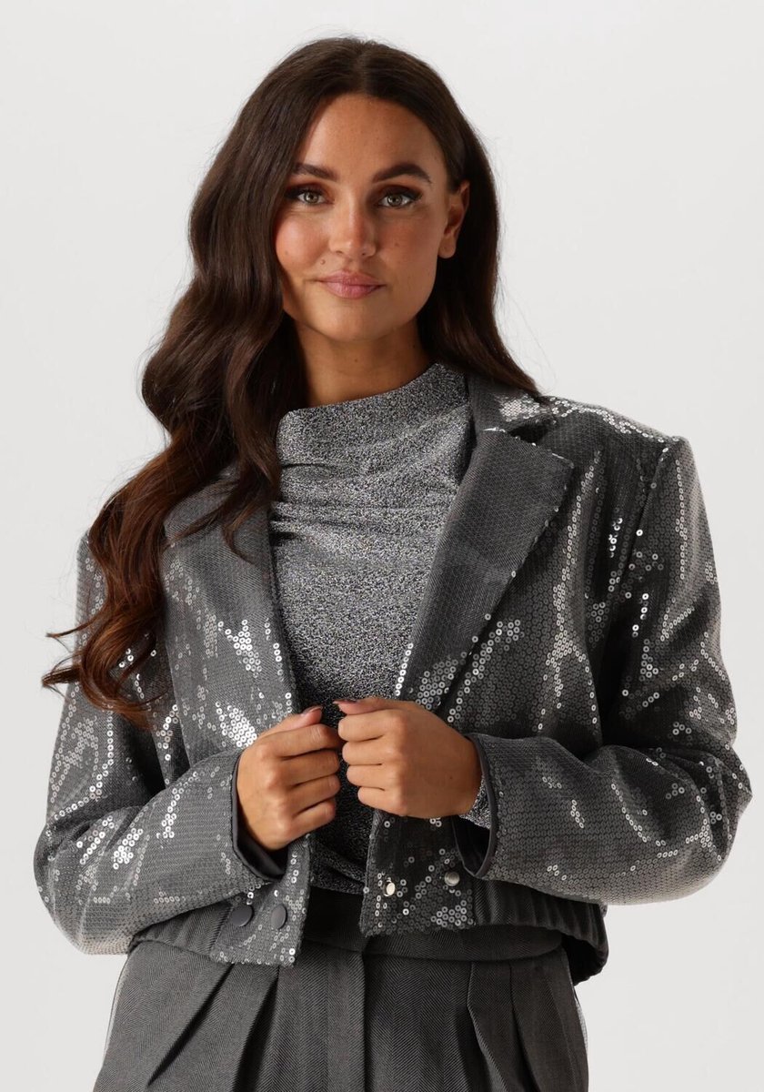 AAIKO Mille Sequins Pes 356 Blazers Dames - Grijs - Maat S