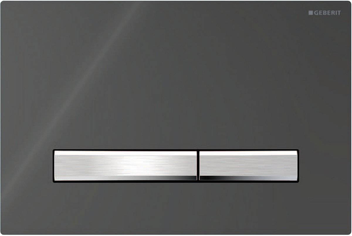 Geberit Sigma50 bedieningplaat, 2-toets spoeling frontbediening voor toilet 24.6x16.4cm chroom/lava