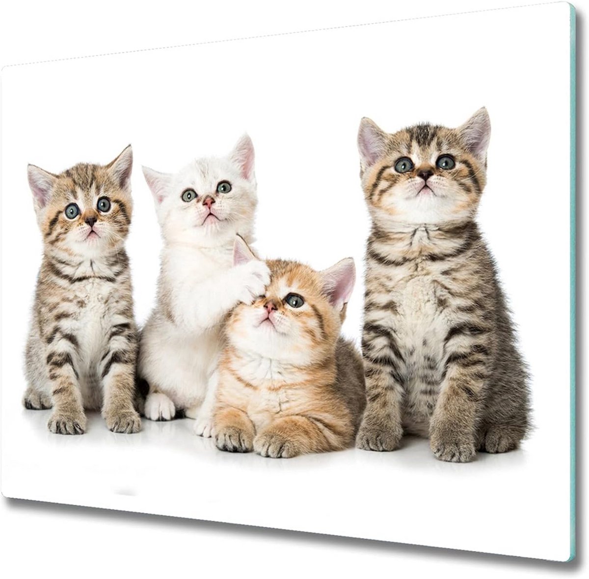 Glazen Snijplank 60x52cm met Kattenprint - Hittebestendig en Krasvast