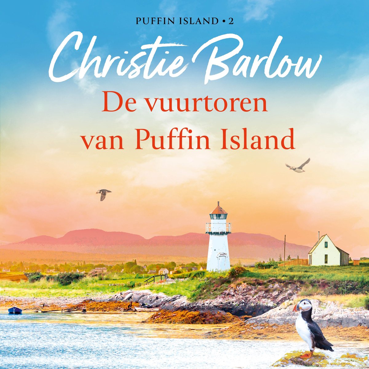 Omslag van De vuurtoren van Puffin Island