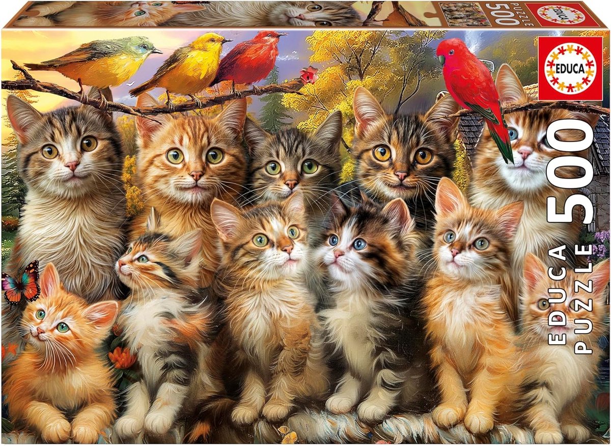 Puzzel 500 stukjes met Katjes en Vogels voor Volwassenen | Formaat 48 x 34 cm