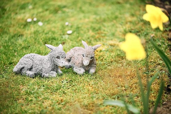 Twee stenen ezels, grijs en bruin, liggen in het gras met gele bloemen.