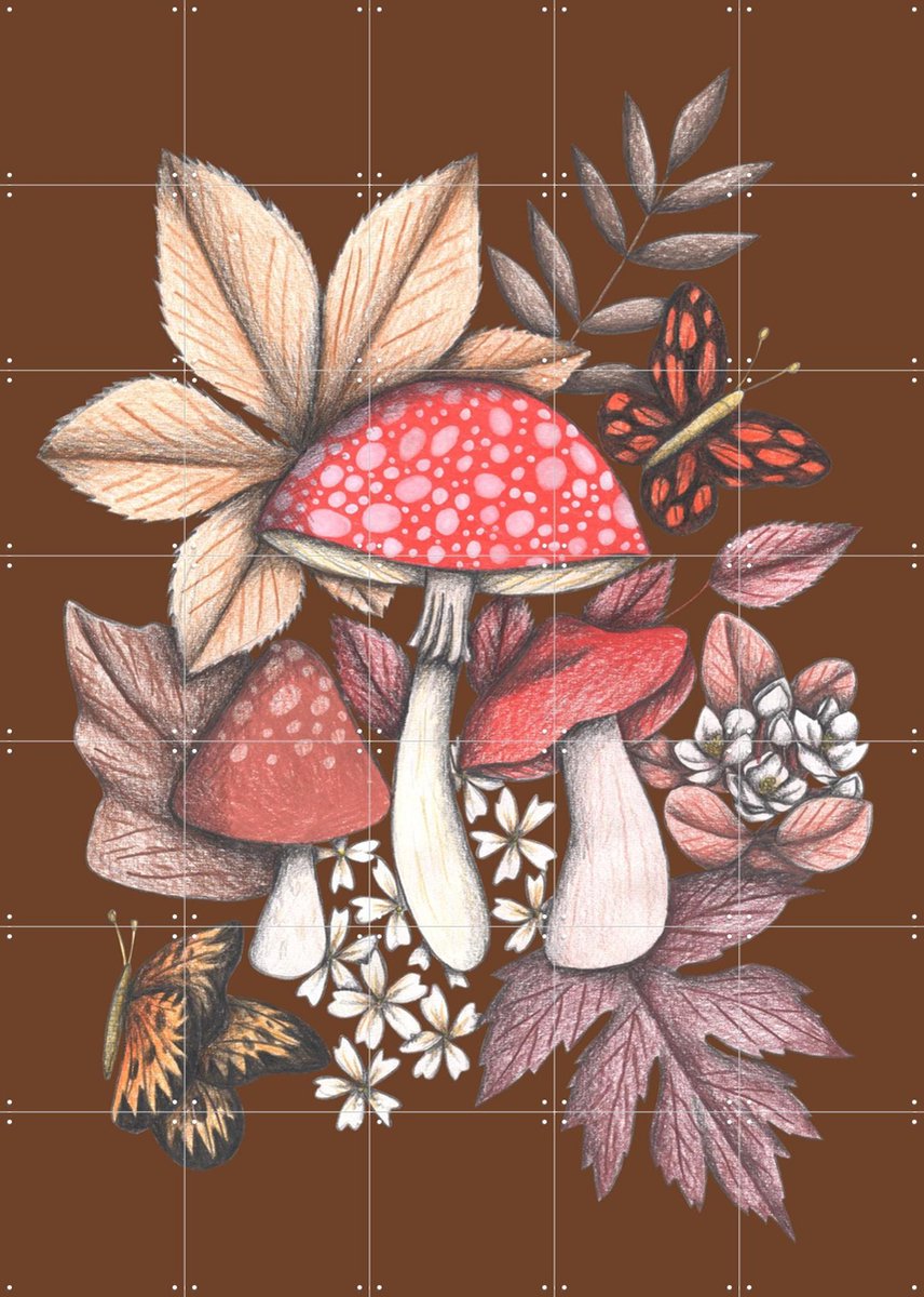 IXXI Mushrooms Magic 1, Cecilia Battaini - 100 x 140 cm - Gratis ophangtool - Grote wanddecoratie en posters - Illustraties, Fantasierijk, Art