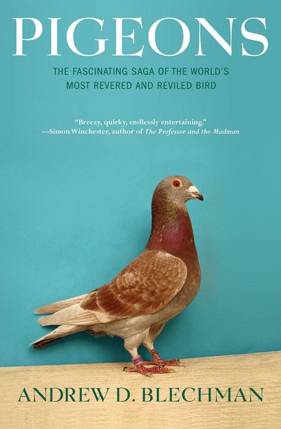 Pigeons - cover