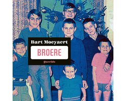 Omslag van Broere