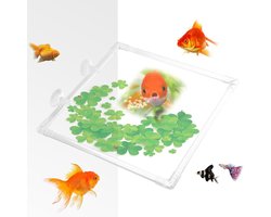 Aquarium Voederring - Visvoerbak - Stabiel Voeren - Met Zuignappen - 23x23cm - Transparant