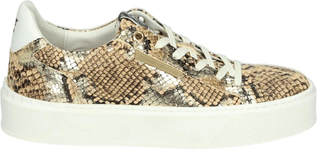 Lage Sneakers Dames Schoenen Casual Gebruik Uitneembaar Voetbed Wijdte G Bruin