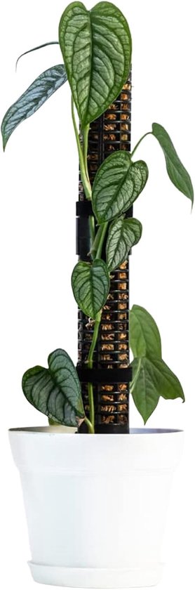 Mospaal Klimplanten - Steunpalen Kamerplant - Planten Ondersteunen - Stapelbaar Ontwerp - 2 Maten Beschikbaar - Zwart Wit