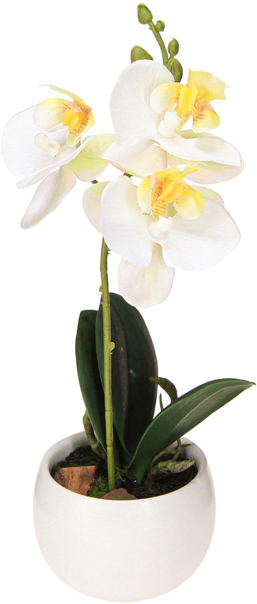 Kunstorchideeën in pot witte mini orchideeën Ø7cm H22cm
