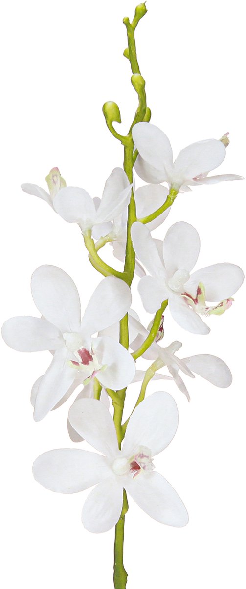 Viana Kunstmatige orchideeën witte bloesem Ø3,5–5 cm L38 cm 2 stuks, 2 Stück