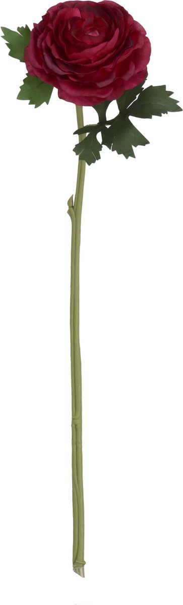 maxifleur Kunstplanten Ranonkel Kunstbloem Deluxe 54cm Burgundy