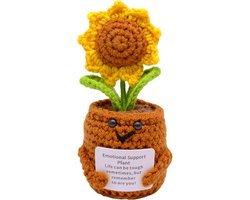 Handmade Crochet Flowers - Emotional Support - Kleine Bureau Decoraties - Rode Hart Geweven Pot - Motivational Gift voor Planten - Tafel Rack Ornament