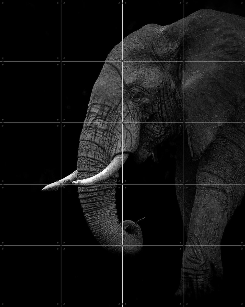 IXXI Elephant, Ahmed Sobhi & Various - 80 x 100 cm - Gratis ophangtool - Grote wanddecoratie en posters - Fotografie, Kinderkamer, Woonkamer