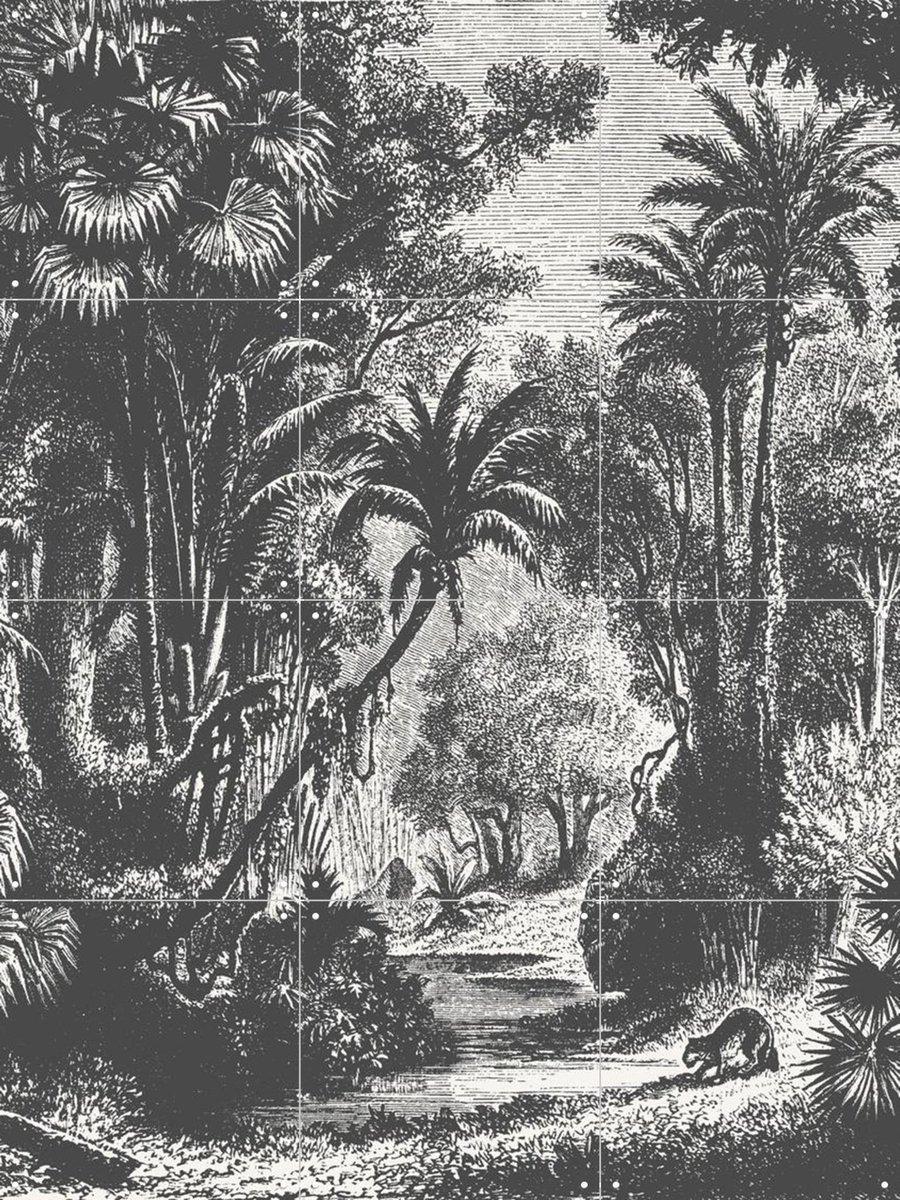 IXXI Indian Jungle, Aster Edition - 60 x 80 cm - Gratis ophangtool - Grote wanddecoratie en posters - Illustraties, Vintage, Houtsnede, Naturalisme