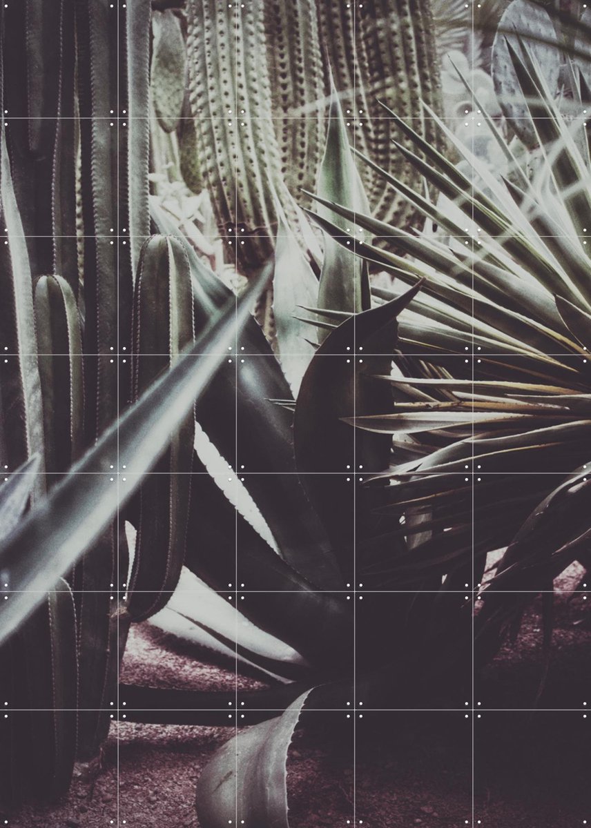 IXXI Polaroids From Saint Laurent 01, STUDIO HANNAH LEMHOLT - 100 x 140 cm - Gratis ophangtool - Grote wanddecoratie en posters - Fotografie