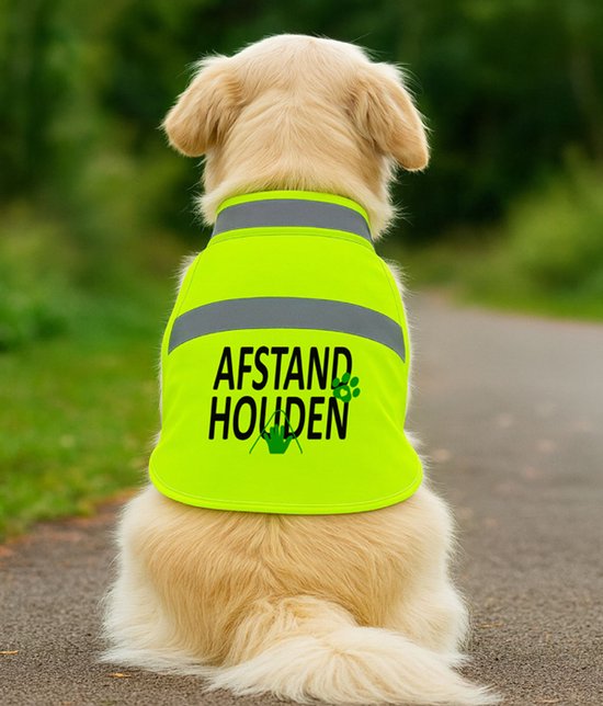 Golden retriever op een pad, draagt een felgeel reflecterend hesje met tekst 'AFSTAND HOUDEN'.