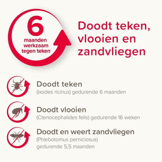 Beaphar Canishield Parasietenband Hond - Anti vlooien en tekenmiddel - per stuk L