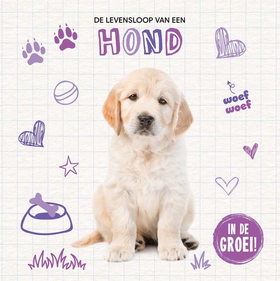 De levensloop van een… - Hond