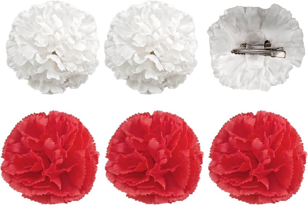 Set van 6 Haaraccessoires met Flamenco Bloemen voor Danskostuums