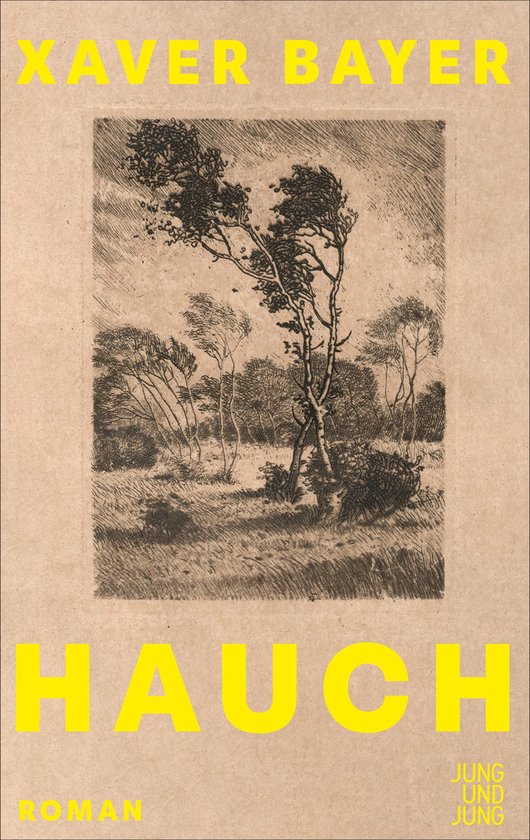 Hauch