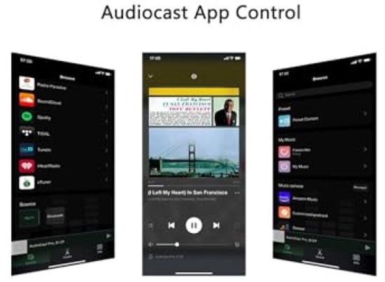 Draadloze WiFi Audio Ontvanger voor Multiroom Streaming - AirPlay, Bluetooth en Ethernet Ondersteuning — afbeelding 4