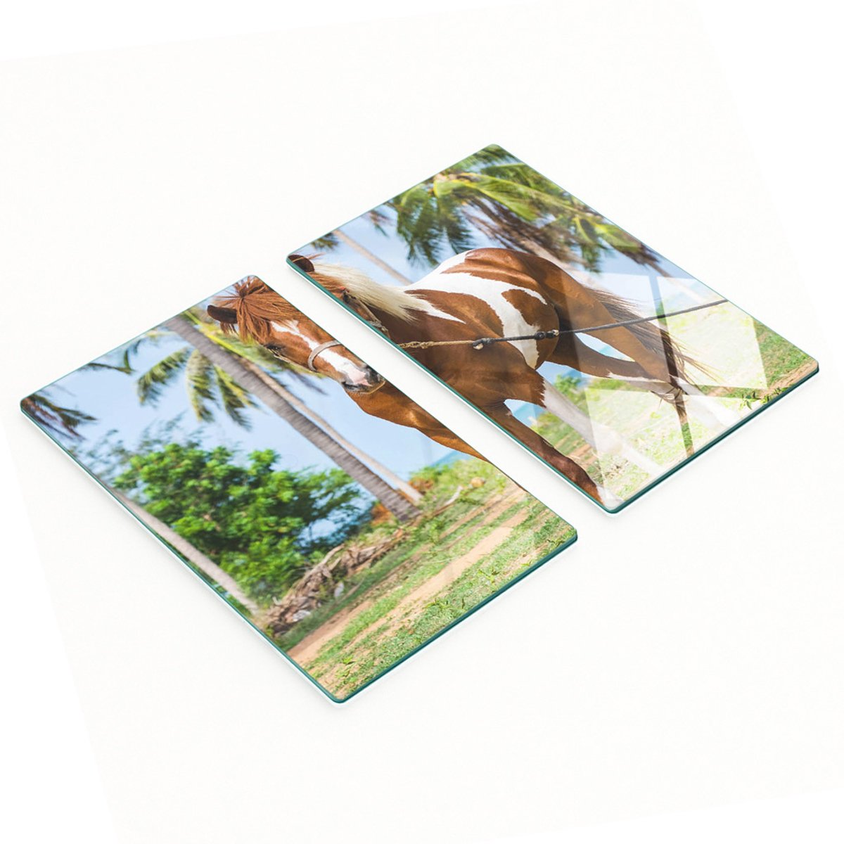 Geharde multifunctionele decoratieve glazen borden Pinto Paard 2x30x52 cm