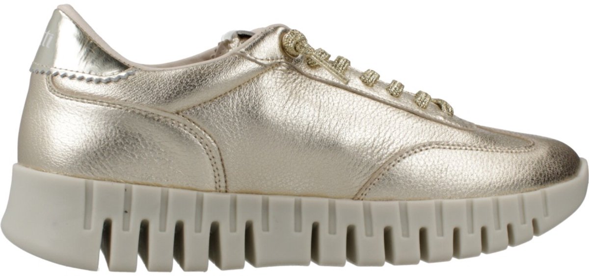 CETTI C1381SRA V26 Goud 37 EU