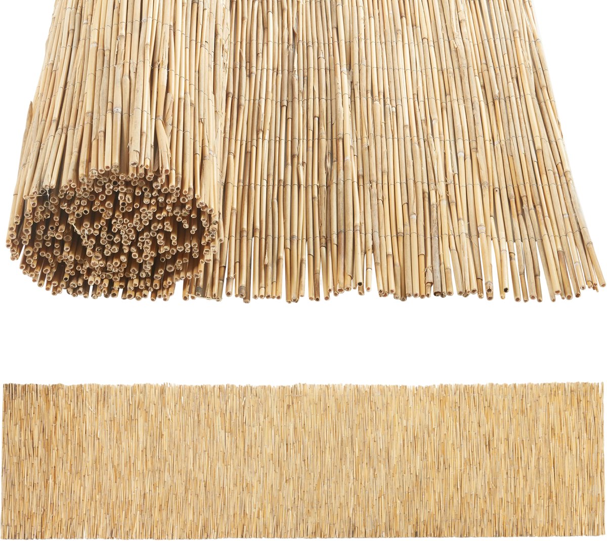 Rietmat Abbateggio 120x600 cm naturel casa.pro