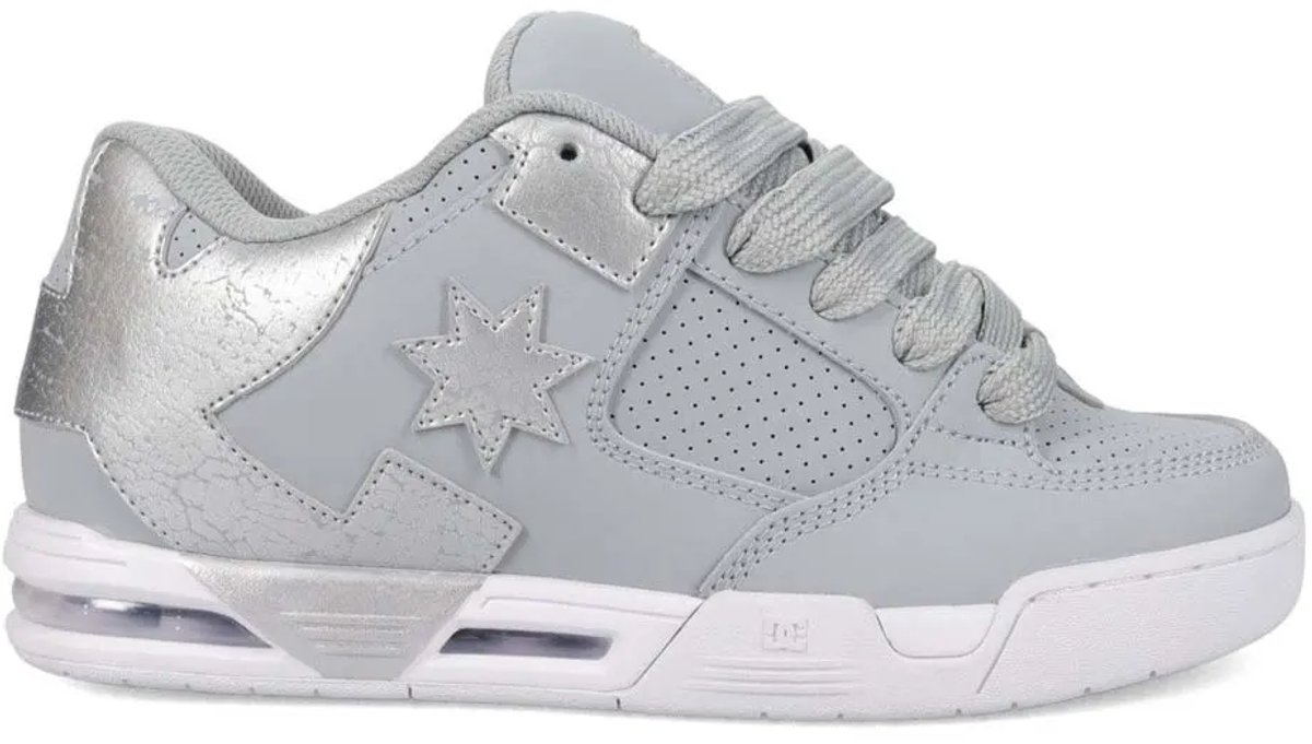 Dc Shoes Command Schoenen Vrouw Zilver
