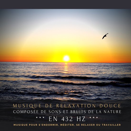 Musique de relaxation douce composée de sons et bruits de l ... - cover